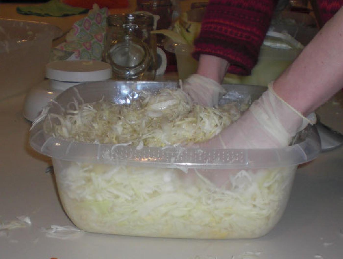 sauerkraut workshop