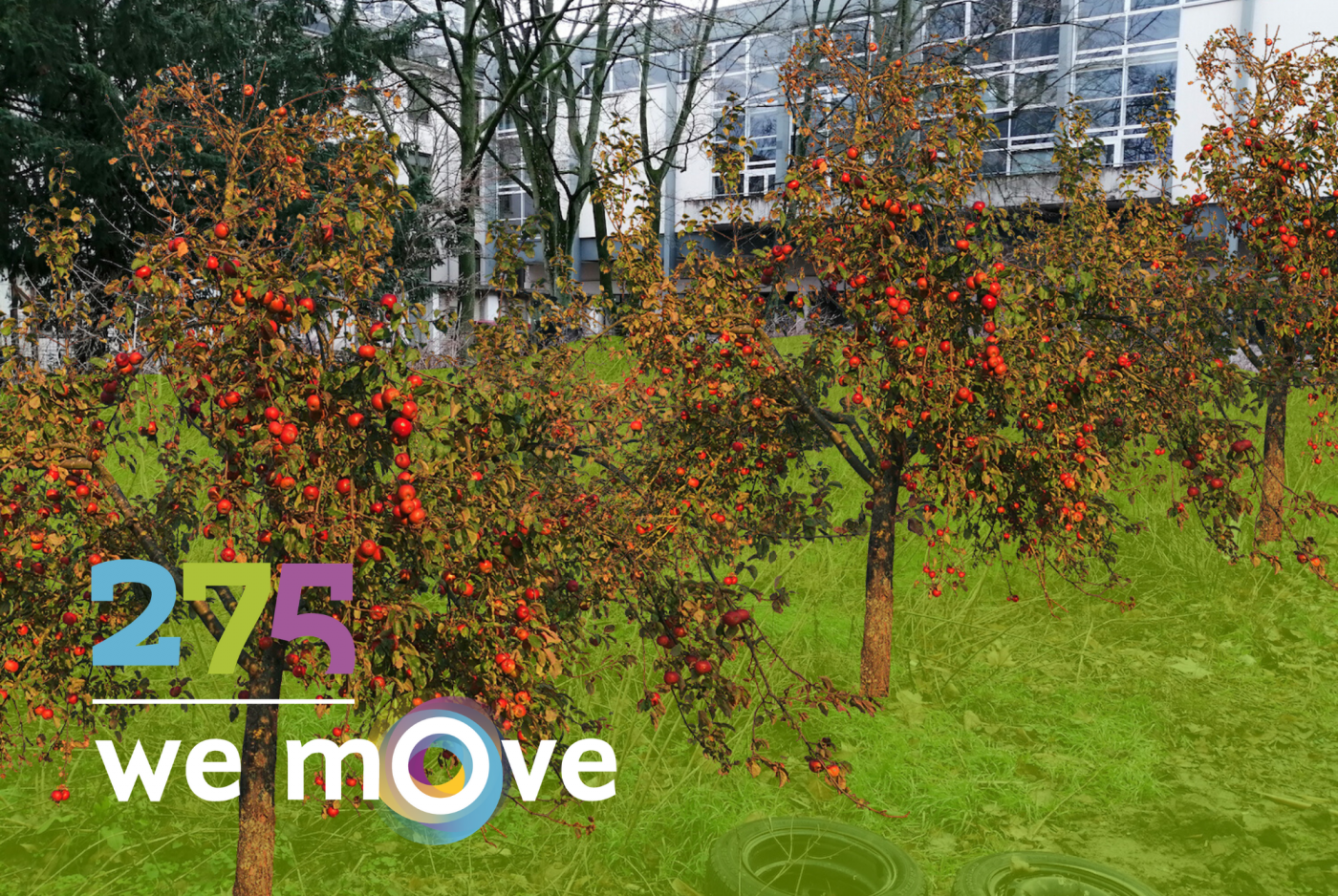 So könnte es aussehen